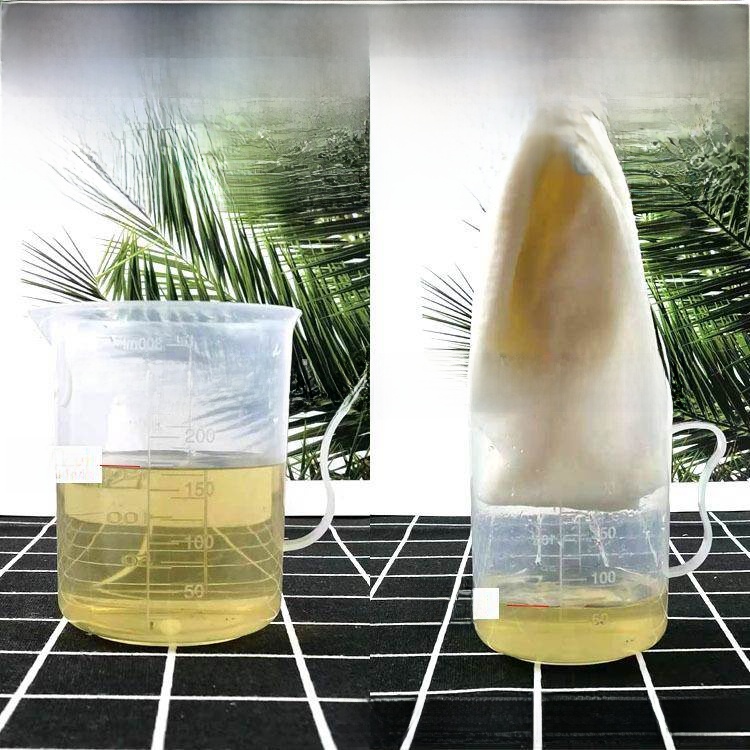 Disposable Thickened Wood Pulp - مراجعة Home Barbershop وسعره